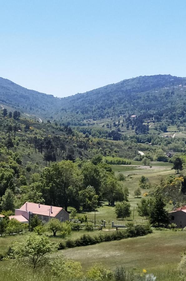 Turismo Rural Macieira Brava Гуарда Екстериор снимка