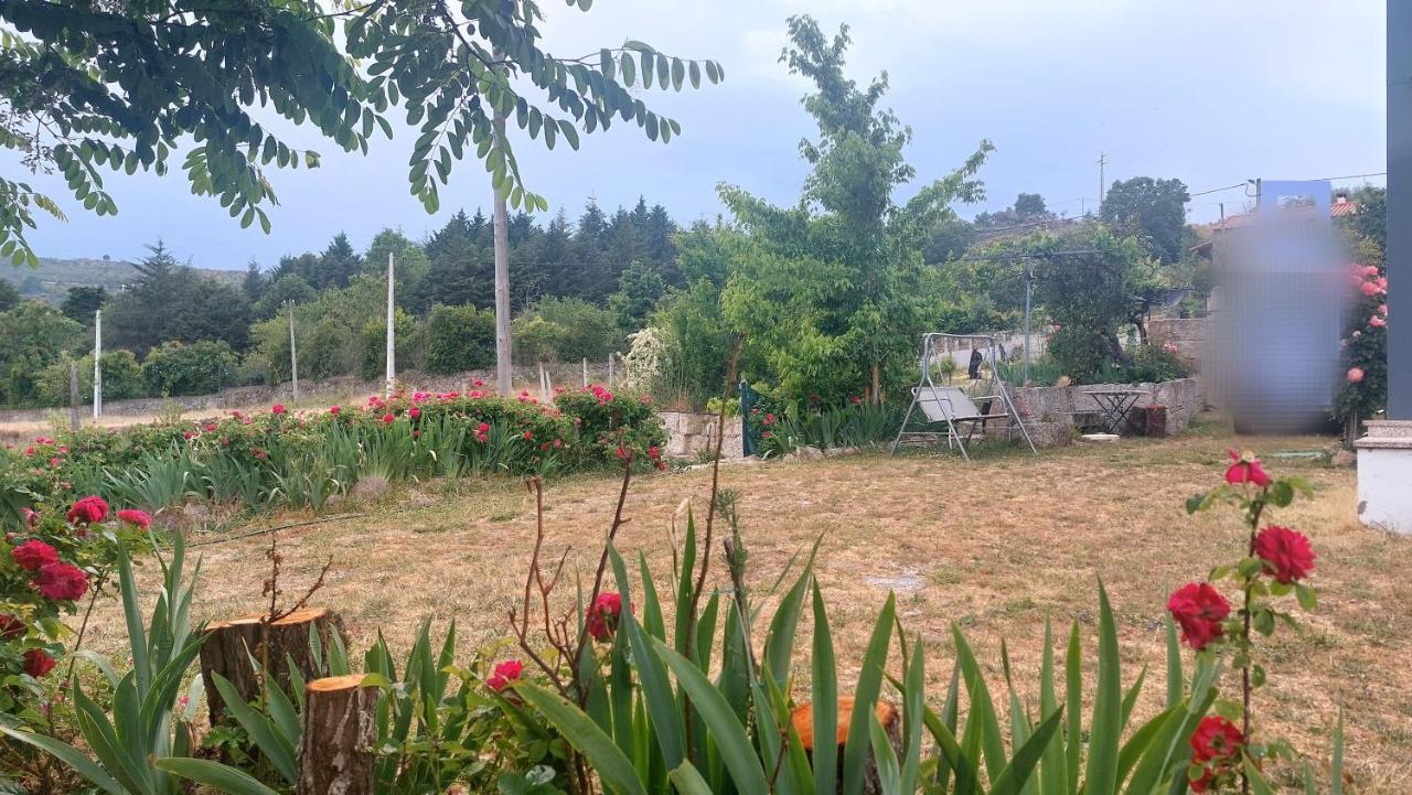 Turismo Rural Macieira Brava Гуарда Екстериор снимка