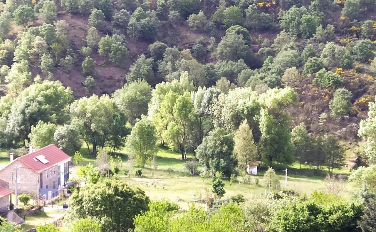 Turismo Rural Macieira Brava Гуарда Екстериор снимка